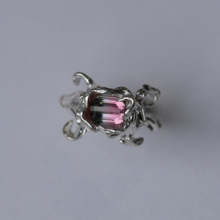 Garden Ring