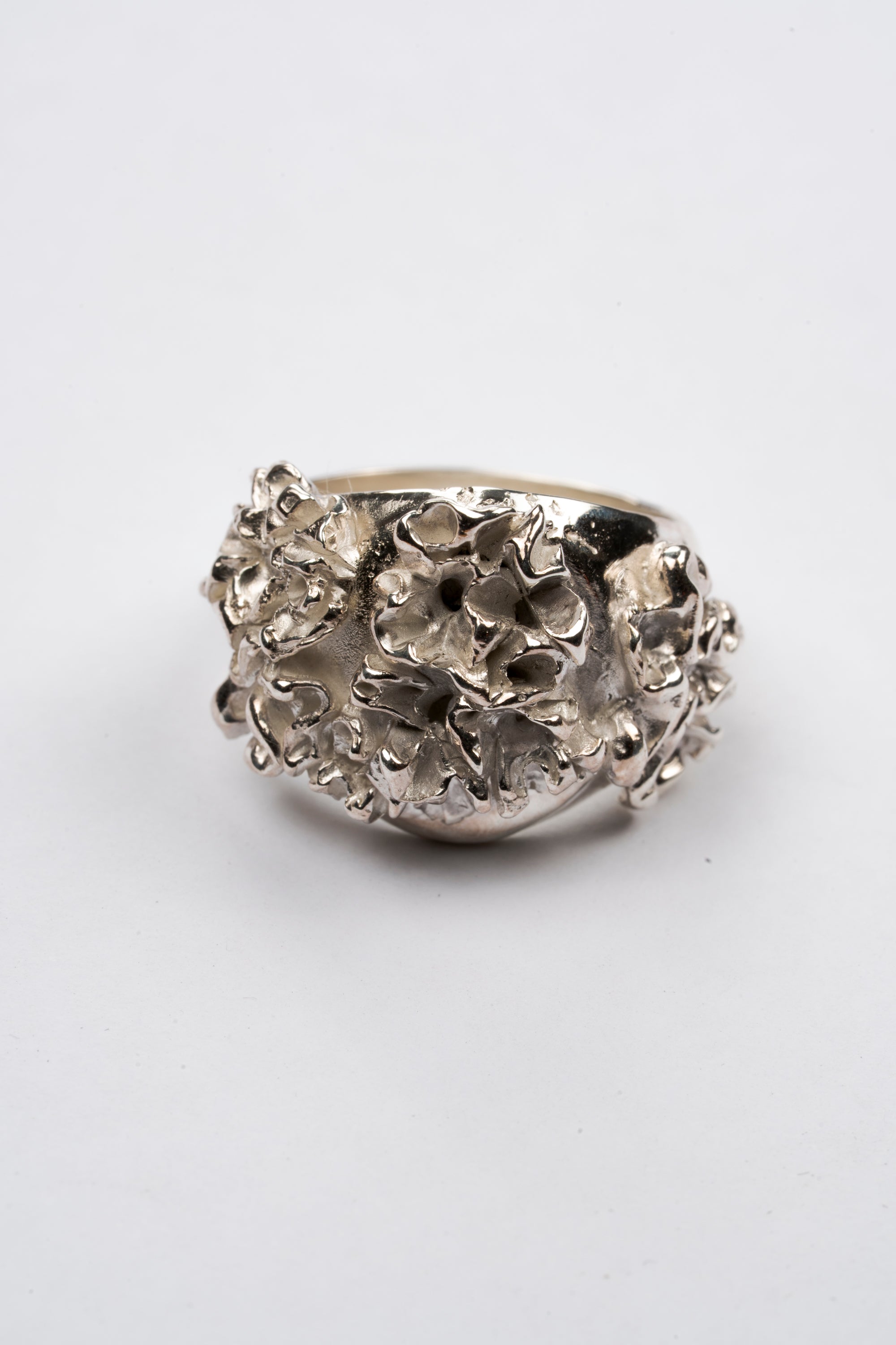 Carnation Coral Signet