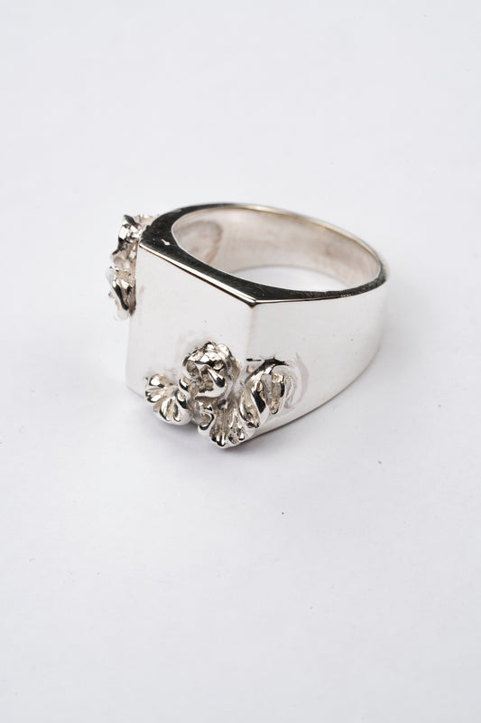 Wisteria Signet