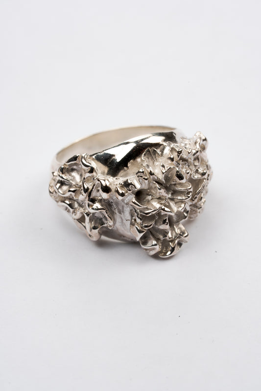 Carnation Coral Signet