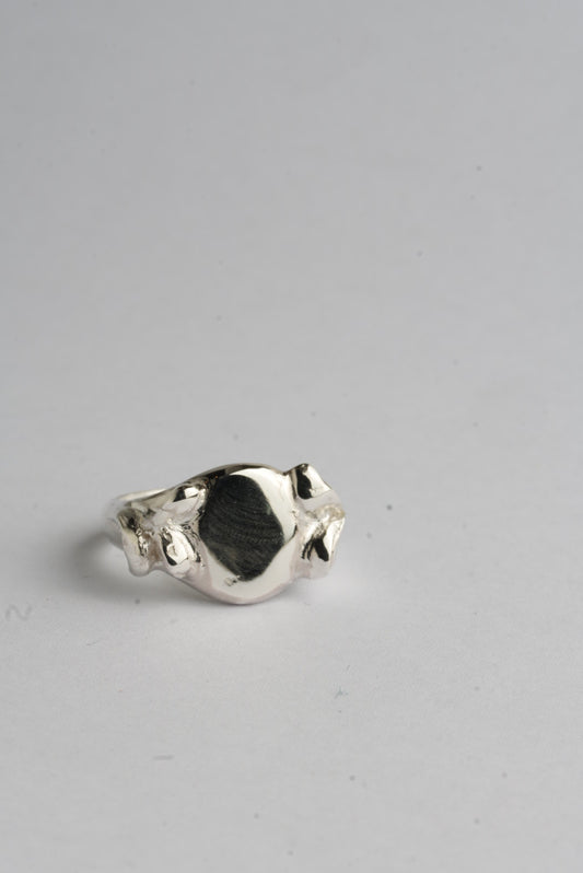 Julius Ring