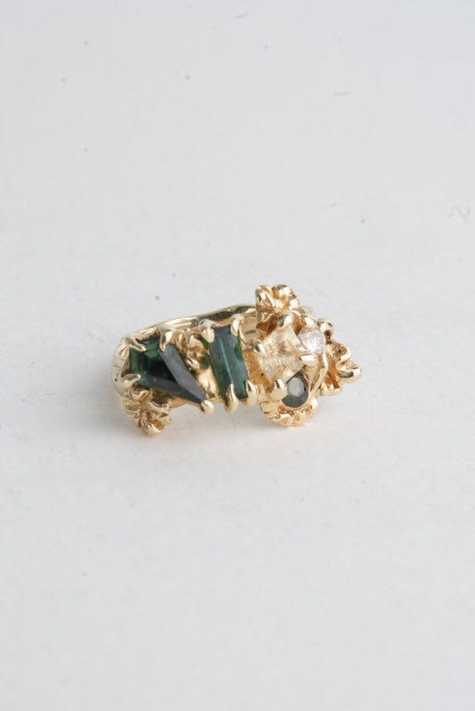 Reef Ring