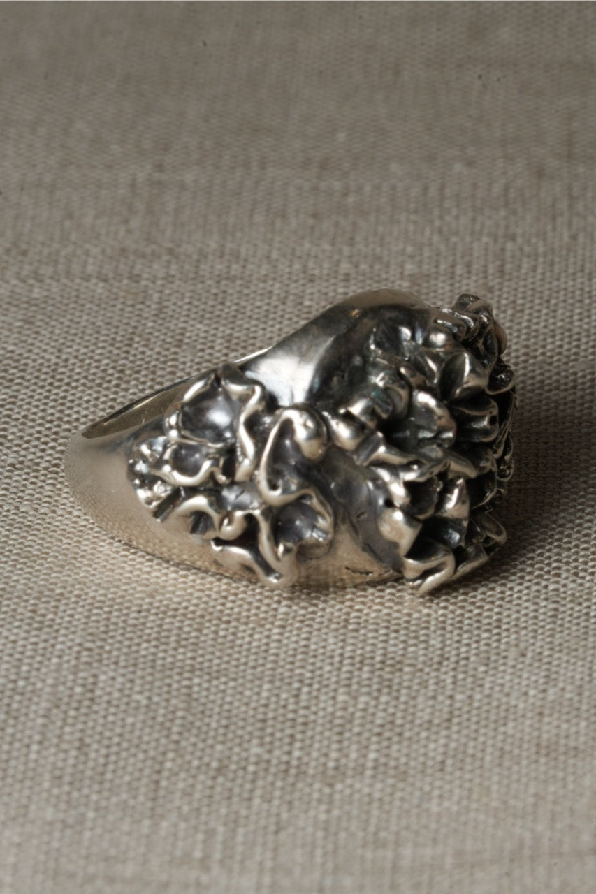 Carnation Coral Signet - W