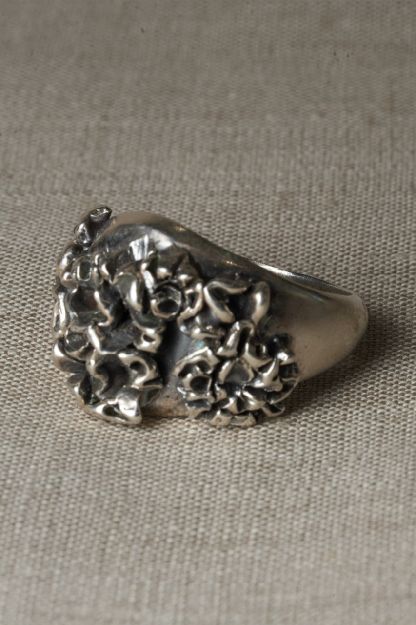 Carnation Coral Signet - W