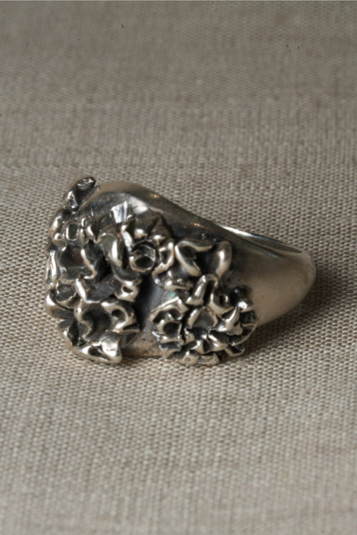Carnation Coral Signet - W