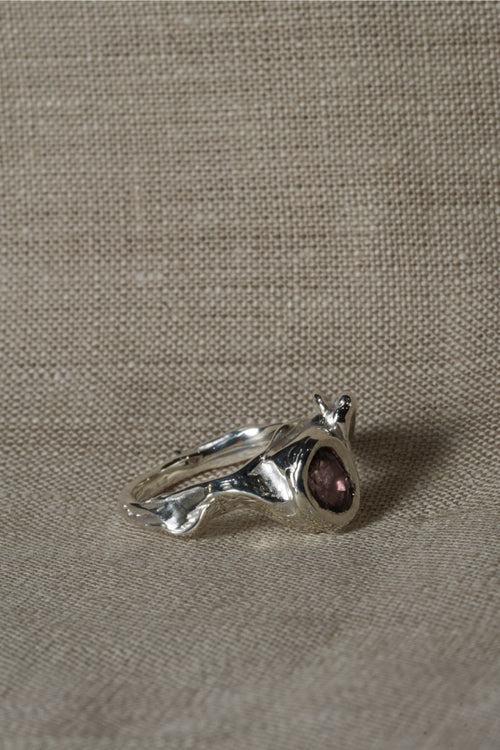 Chocolate Ring
