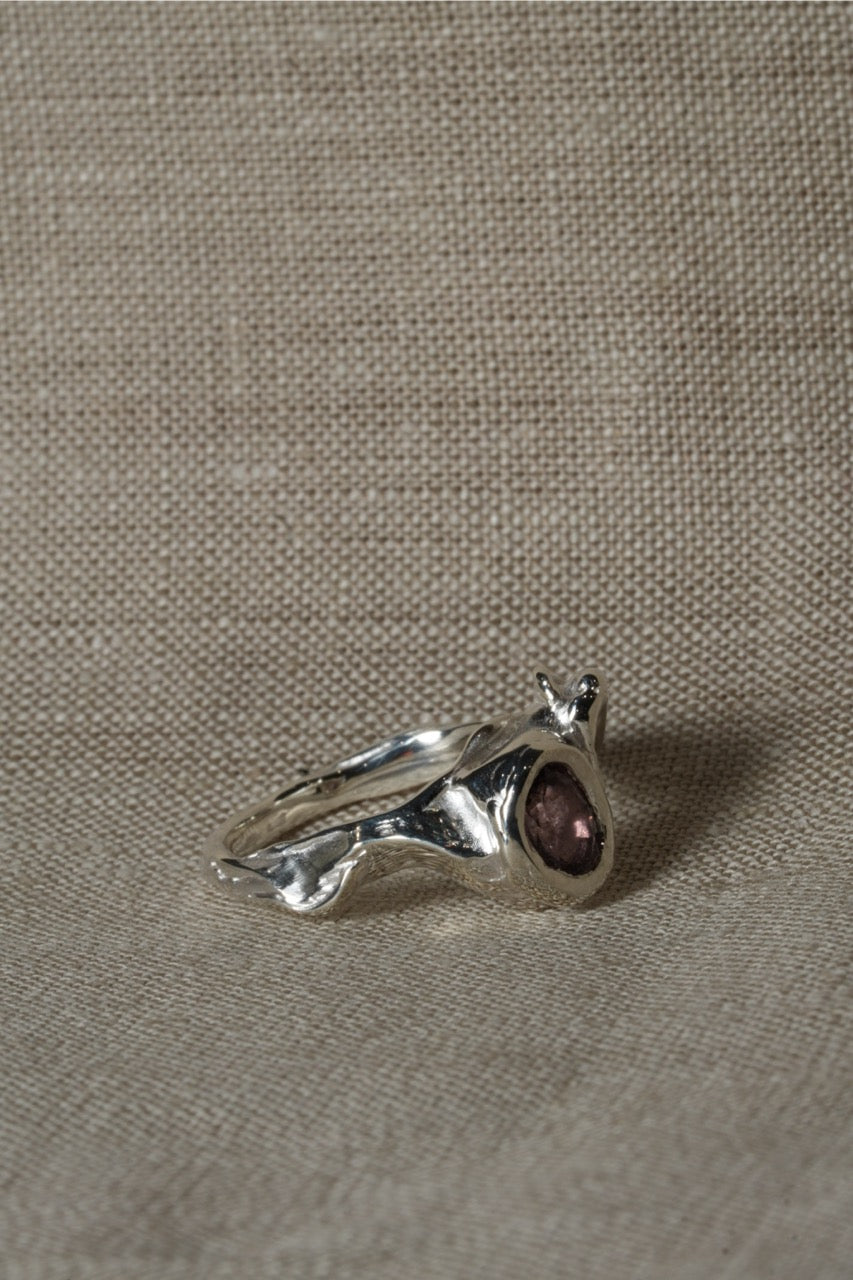 Chocolate Ring
