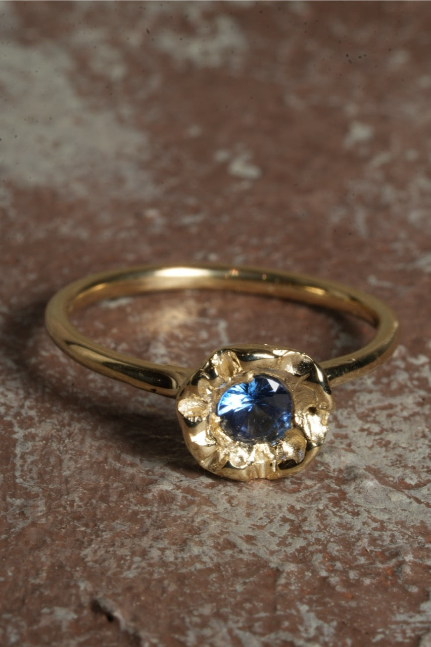 Petunia - Ceylon Sapphire