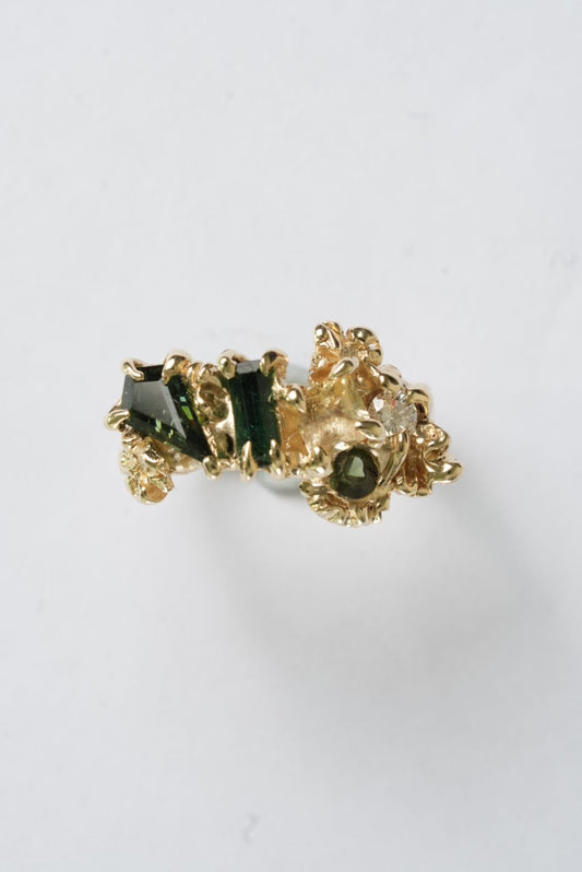 Reef Ring